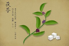 篮球训练营中试训的表现评估方法_0